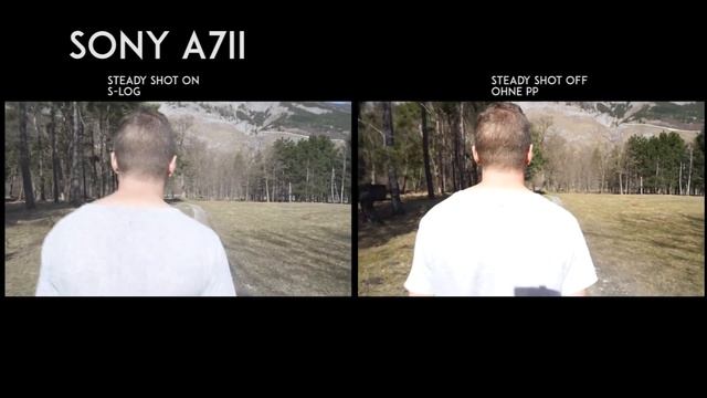Sony A7 II vs Canon 5D Mark III смотреть онлайн