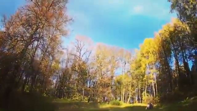 Осенняя красота Музей-Усадьба Некрасова Карабиха смотреть онлайн