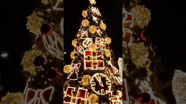 КРАСИВАЯ НОВОГОДНЯЯ ЁЛКА РЯЗАНЬ рядом ТРЦ М5 Молл смотреть онлайн