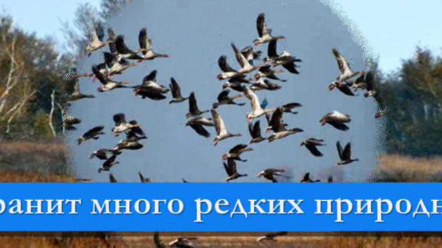 Буктрейлер Коренев "В раю Донском" смотреть онлайн