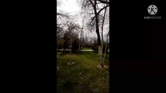 #шымкент # сити #око смотреть онлайн