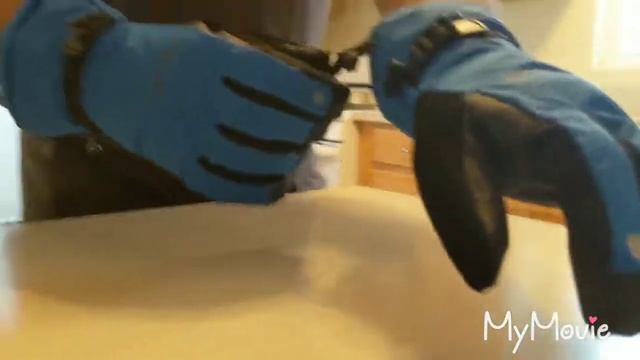 My Dad's Newest Pair Of Eddie Bauer Gloves