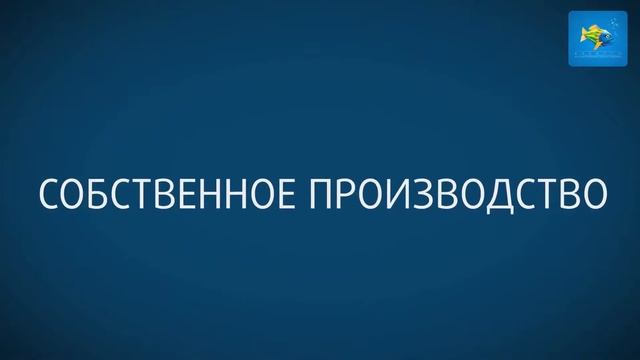 Калипсо смотреть онлайн