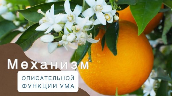 Фрагмент сессии "Женщина Абсолюта" I Запись на индивидуальную сессию https://t.me/Pro_alfi