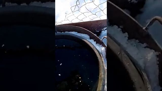 Подогрев воды зимой для Крс своими руками смотреть онлайн