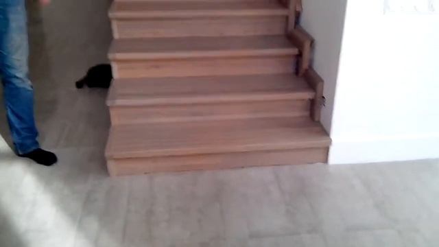 Стеклянные лестницы и ограждения из стекла Маршаг (495) 998-73-71 смотреть онлайн