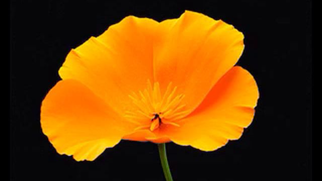 методы водолечения смотреть онлайн