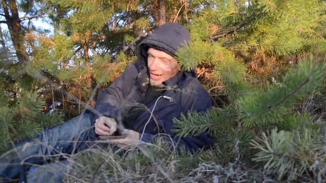 Пластиковые грибы-сказка, царство пластика и пластмасс + скульптура пластику смотреть онлайн