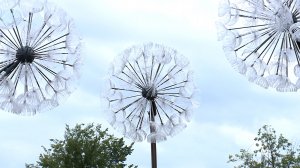 В Андроповском округе благоустроили аллею