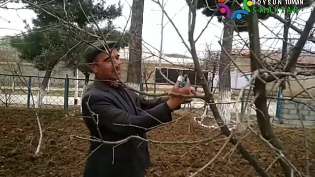 Boysun Tumaning 5-Maktab òqituvchi, òquvchi Va Barcha Yoshu Kattalari Bahor Faslini Kutib Olishti??