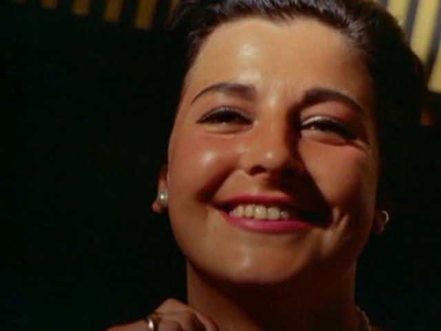 Собачий мир 2 (1963)