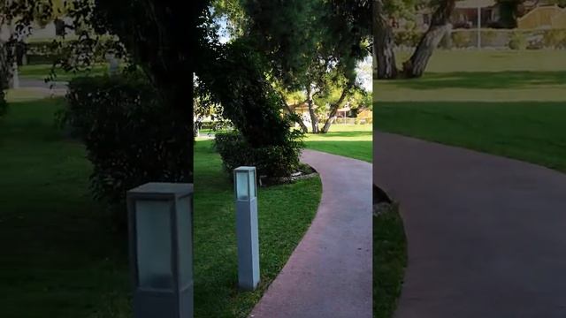 Отдых в Турции в ноябре! Солнце, теплое море, вкусная еда!?☀ смотреть онлайн