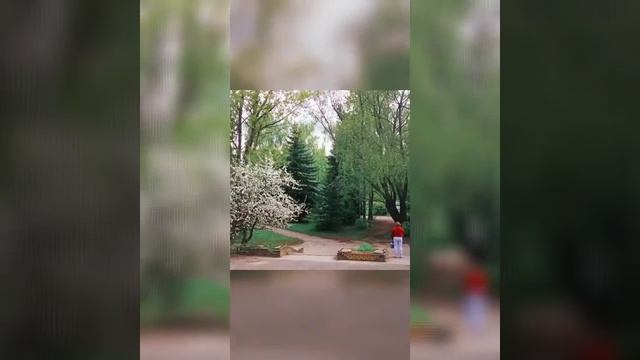 Природа.Зарисовки.Лето.🎶 смотреть онлайн