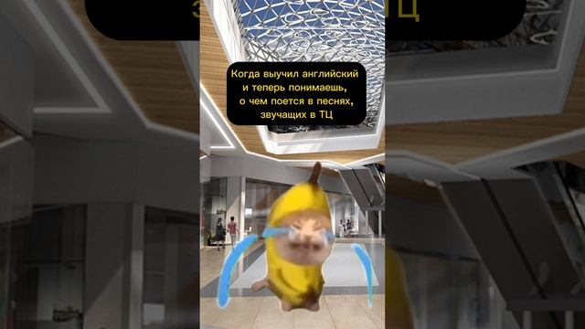 Когда выучил английский и теперь понимаешь, о чем поется в песнях, звучащих в ТЦ ? смотреть онлайн