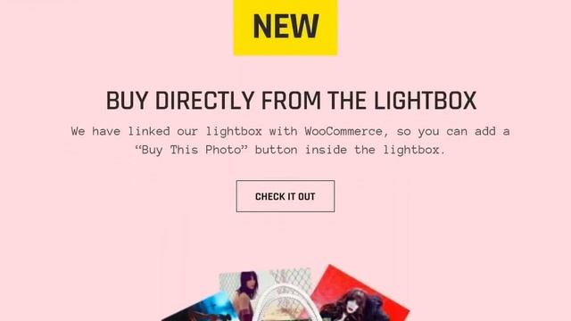 TwoFold - Fullscreen Photography WordPress Theme Free Download смотреть онлайн