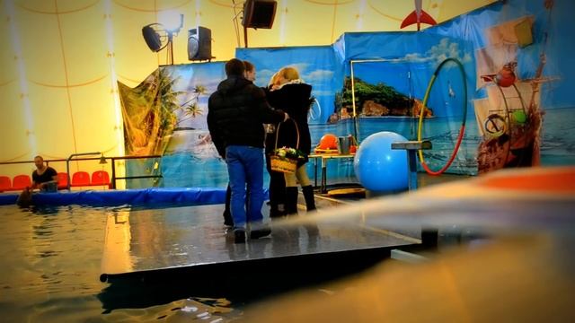 Предложения руки и сердца (Дельфинарий в Екатеринбурге) смотреть онлайн