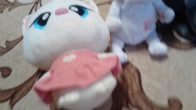 собираю Басика в лагерь