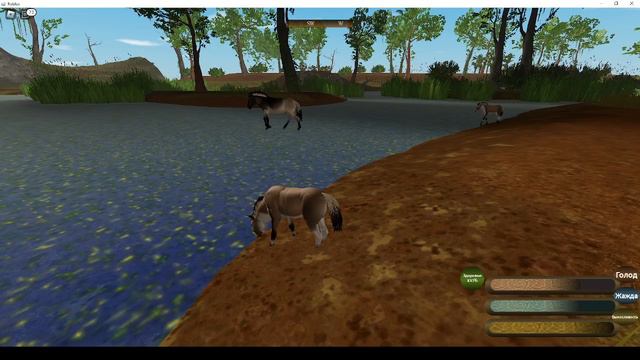 Sonora Testing (Тестирование Соноры)|Roblox Game