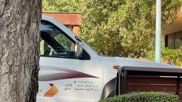 Забавные Птицы Неожиданная Реакция На Зеркало смотреть онлайн