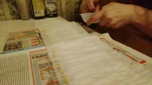 Сажаем перец в самокрутки (01.03.2019)