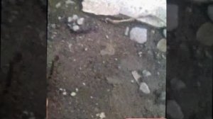 РУ 0,4 кВ Вводной рубильник,  Услуги Электрика в Ектб