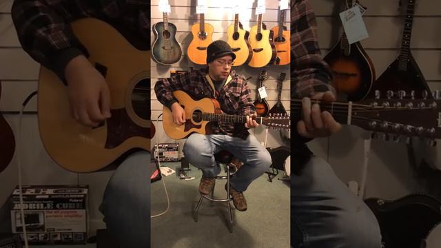 Taylor 356ce 12 string смотреть онлайн
