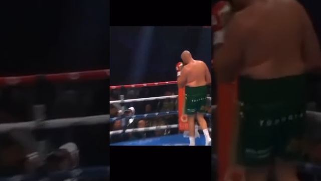 Фюри V/S Нганну смотреть онлайн