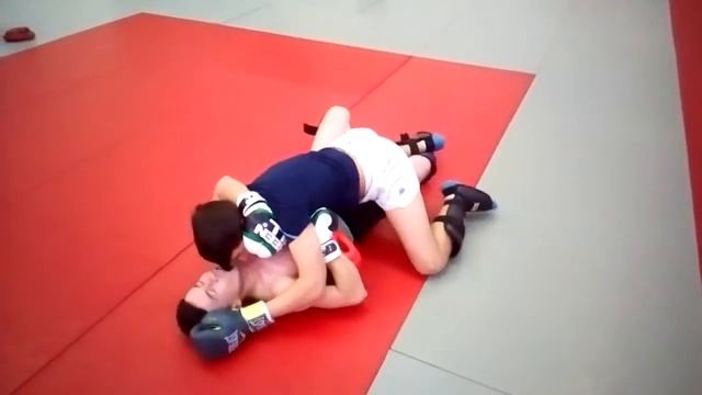 Бразильское джиу-дитсу