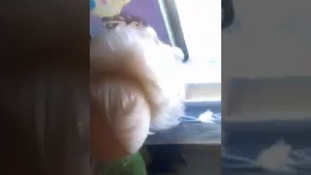 кукла братц:* смотреть онлайн