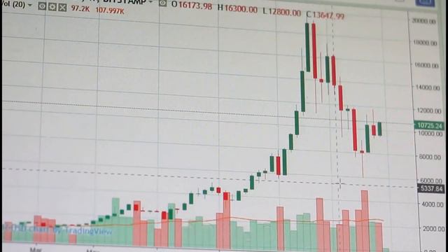 Сиба-ину получил более 188 миллионов просмотров. смотреть онлайн