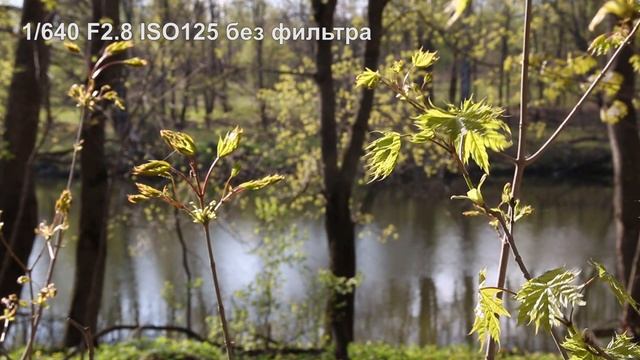 Настройка фотокамеры для съемки видео (DSLR Canon 70d) смотреть онлайн