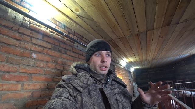 Какой пол лучше для сарая смотреть онлайн