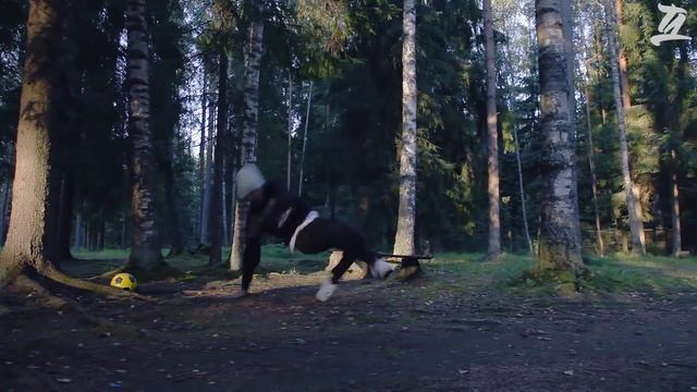 Танцевальная дача 2015 - Команда педагогов. смотреть онлайн