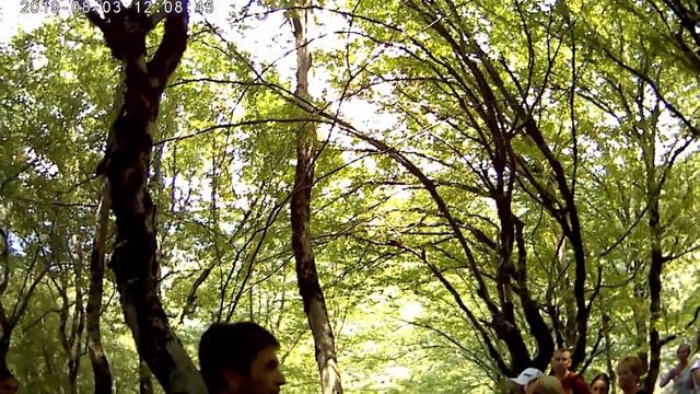 Когда гроза я граб!Экскурсия 9 в 1. Абхазия. смотреть онлайн