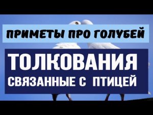 Голубь стучит в окно или  принёс в клюве травинку.  О чём предупреждают птицы.  #Берегиня
