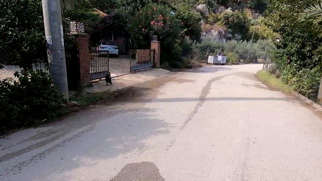 На велосипеде по Турции, Чиралы #22. смотреть онлайн