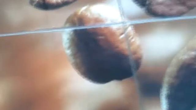 Профект: Кухонные фартуки (Кухонный фартук из стеклянной фотоплитки) смотреть онлайн