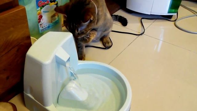 Drinkwell Original Питьевой фонтан для кошек и собак смотреть онлайн