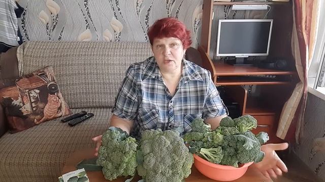 ?Всё о БРОККОЛИ от Выращивания до Стола ❗❗❗ Огромный УРОЖАЙ БРОККОЛИ всё Лето до самой Осени??