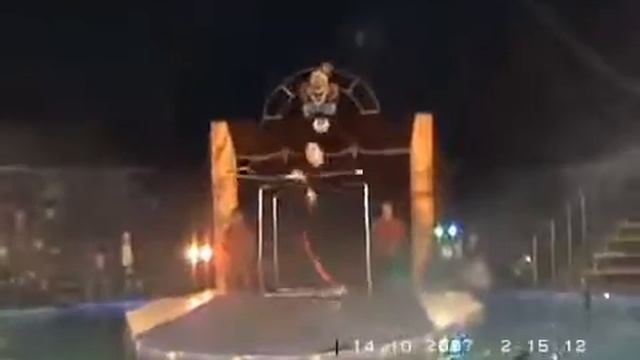 На арене цирка Дмитрий. А вы любите цирк? Заказ артистов по тел.(098)787 25 98 смотреть онлайн