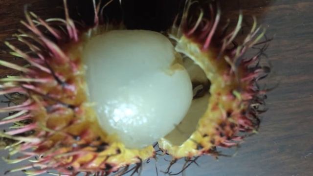 Для любителей рамбутанов! смотреть онлайн