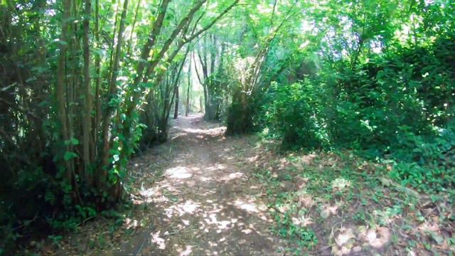 Речная дикая форель смотреть онлайн