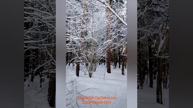 Сытин Настрой на здоровый сон для женщин. Настрои Георгия Сытина. смотреть онлайн