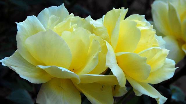 Самый красивый клип на радио 2015 - смотреть бесплатно смотреть онлайн