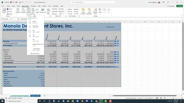 MOI Printing Setup Excel смотреть онлайн