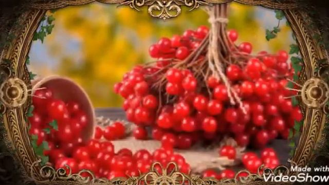 Калина красная. И. Слуцкий. В. Цыганов. Поёт Н. Соколова. смотреть онлайн