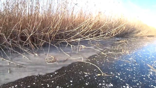 РЫБАЛКА МЕЧТА, за 2 часа 26 ЩУК!!! ЩУЧИЙ РАЙ! РЫБАЛКА В АСТРАХАНИ на ЖЕРЛИЦЫ. ПЕРВЫЙ ЛЁД смотреть онлайн