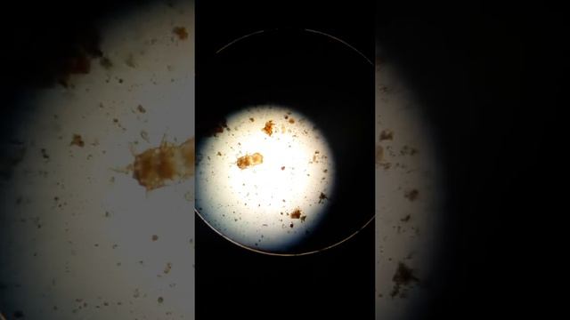 Секреты Умелых Рук