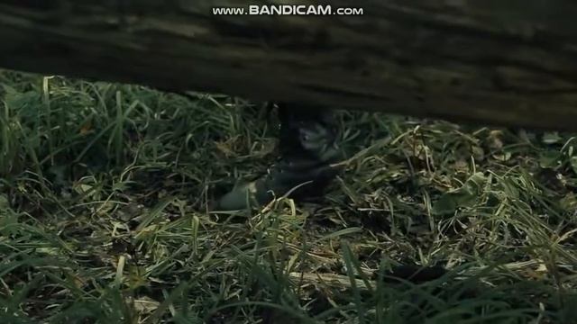 HALF-LIFE СЕДЬМОЙ ЧАС... смотреть онлайн