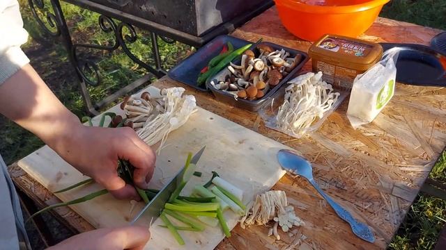 Пуктяй с зимними опятами